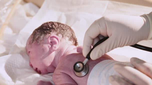Bebê Recém Nascido Hospital Pediatra Profissional Maternidade Médico Examina Bebê — Vídeo de Stock