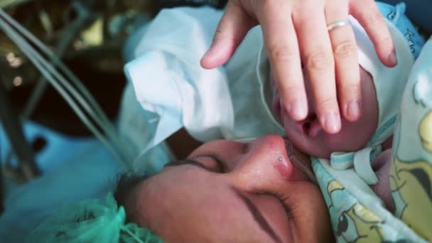 Madre Sostiene Bebé Recién Nacido Hospital Madre Sosteniendo Bebé Recién — Vídeo de stock
