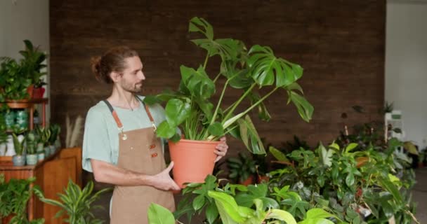 상점에 Houseplants를 사용하는 소유자 기업가 돌보는 녹지의 무성한 배열로 둘러싸인 — 비디오
