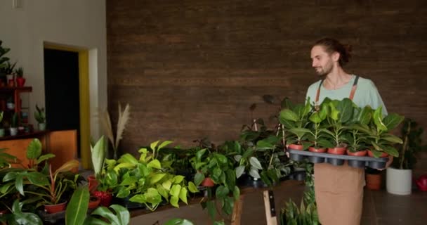 인테리어에서 전문적인 자신감 코카서스 꽃집의 초상화 온실에 무성한 식물에 둘러싸인 — 비디오