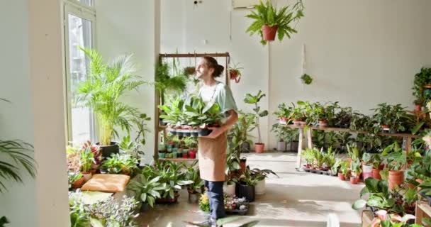 온실에 무성한 식물에 둘러싸인 정원사 사업과 사람들의 인테리어에 자신감 코카서스 — 비디오