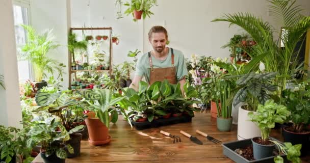 Właściciel Firmy Mężczyzna Pracuje Aranżacji Ogrodnictwa Roślin Jej Kwiaciarni Kryty — Wideo stockowe