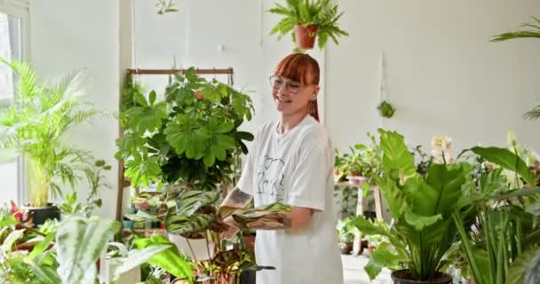정원사는 정원에 열정을 나타내는 그녀의 가게에서 다양한 무성한 식물을 돌보는 — 비디오