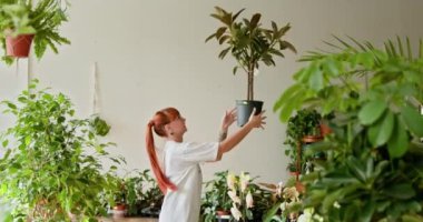 Aydınlatılmış bir alanda canlı saksılarla çevrili, verimli bahçesini besleyen kadın, küçük işletme ve bahçe işlerine olan sevgisini ifade ediyor. Bahçıvan Gelişen Bitki Koleksiyonuyla İlgili