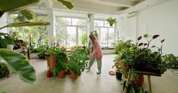 Mladá Zahradnice Stará Pokojové Rostliny Útulném Skleníku Tančí Radostí Žena — Stock video
