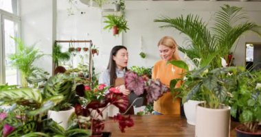 Parlak bir sera ortamında, biri Asya kökenli olan iki kadın, çeşitli kapalı alanlardaki bitkileri yetiştirmeye girişiyor, çiçekçi dükkanındaki küçük işletme sahipleri olarak botaniğe olan sevgilerini paylaşıyorlar..