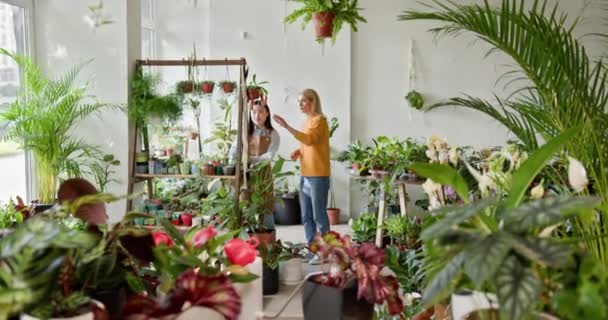 Två Kvinnor Kaukasier Och Asiat Diskuterar Växter Levande Trädgårdsbutik Inomhus — Stockvideo