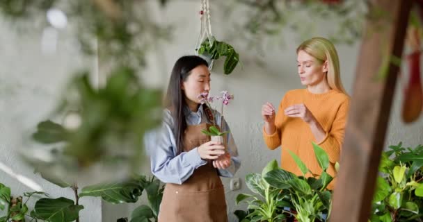 Atmosfera Reflete Uma Mistura Negócios Jardinagem Duas Mulheres Uma Caucasiana — Vídeo de Stock