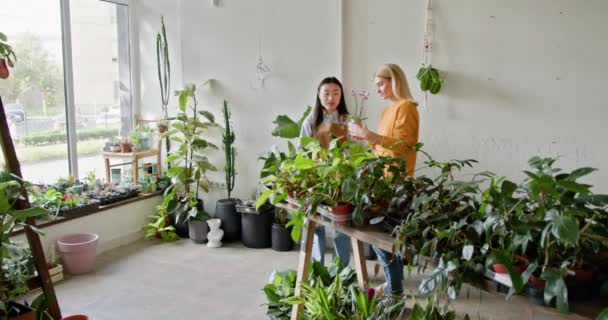 Atmosféra Odráží Směs Byznysu Zahrady Dvě Ženy Běloška Asiatka Diskutují — Stock video