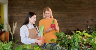 İki kadın küçük, rahat bir çiçekçide iş birliği yapıyor. Etrafı çiçeklerle çevrili. Bahçe işleri ve serbest sera işlerine karşı bir sevgi besliyorlar..