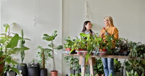 Azjatycka Właścicielka Firmy Pracująca Kwiaciarni Otoczona Roślinami Uroczą Dorosłą Klientką — Wideo stockowe