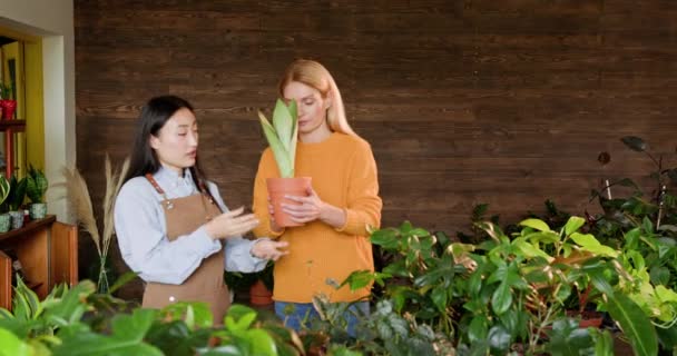 屋内植物の花屋さん エプロンの若いアジアのビジネスオーナーと美しい中年のブロンドの2人の女性は 花屋を歩き アソルトマンを見守ります — ストック動画