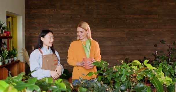 가게에서 고객에 냄비에 식물을 보여주는 아시아 소유자 센터에서 직원과 이야기 — 비디오