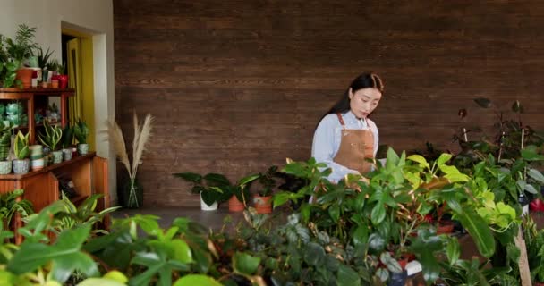 Portrét Asijské Zahradnice Držící Pečující Květináče Skleníkové Zahradě Majitel Obchodu — Stock video