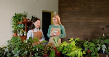 Asyalı bir kadın ve meslektaşı çeşitli ev bitkileri işletiyorlar ve kapalı alanda bahçe işlerinde uzmanlıklarını ve sevgilerini sergiliyorlar. İş, girişim, iş arkadaşları, ilişki kavramı