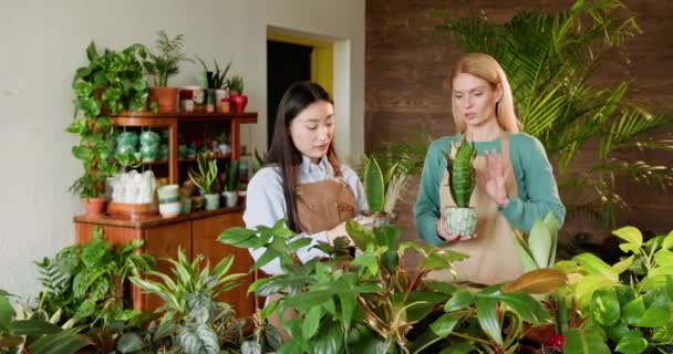 Uma Mulher Asiática Seu Colega Gerenciar Uma Variedade Plantas Sala — Vídeo de Stock