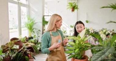 Bahçe merkezindeki genç Asyalı kadın çalışan bir bayan müşteriye bitkileri ve yemyeşil yaprakları gösteriyor. İki kadın, bir dükkan sahibi ve çalışanı uyum içinde ve dostça çalışıyorlar.