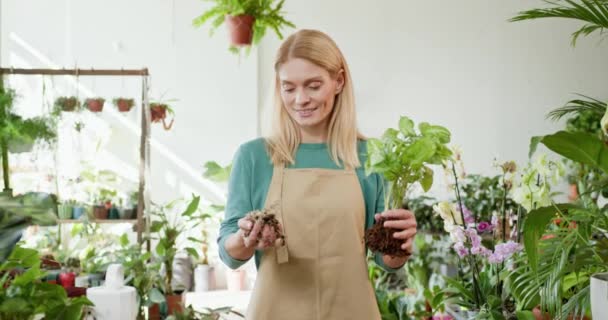 Neşeli Bayan Küçük Işletme Sahibi Canlı Çiçekçisinde Sağlıklı Bitkiler Sergiliyor — Stok video