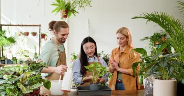 Tres Jardineros Independientes Incluyendo Una Mujer Asiática Cultivan Plantas Interior — Vídeos de Stock