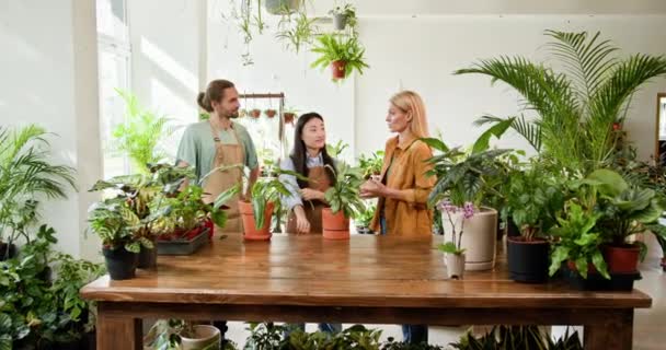 Three Freelance Gardeners Including Asian Woman Nurture Houseplants Sunlit Greenhouse — Stock Video
