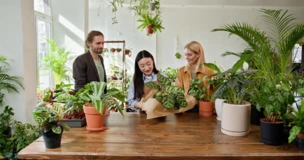 Young Asian Saleswoman Serves Customers Packs Plant Bright Indoor Garden — Stock Video