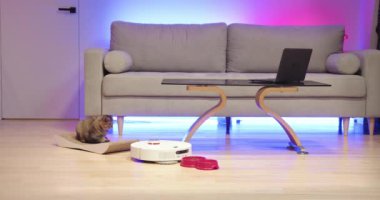 İçinde robot elektrikli süpürge, şık bir oturma odası ve huzur içinde uyuyan bir kedisi olan çağdaş, akıllı bir ev. Konfor ve modern teknolojinin altını çiziyorum. Robot Vakumlu Modern Oturma Odası.