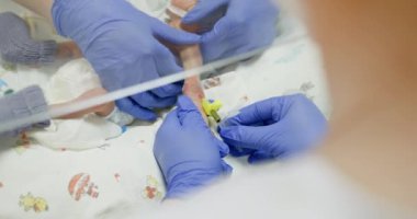 Prematüre bebek hastane kuvözünde tıbbi bakım görüyor. Eldivenleri ve tıbbi ekipmanlarıyla bebek üzerinde çalışan tıbbi personel. Yenidoğan bakımı ve hastane hizmeti kavramı.