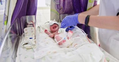 Bakıcı, özel bir neonatal yoğun bakım ünitesinde narin bir bebeğe özenle bakıyor. Yenidoğan Yoğun Bakım Ünitesi 'nde kendini adamış ve ilgilenen hemşire, bebeklere destek sağlıyor.