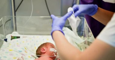 Bir sağlık çalışanı, yenidoğan yoğun bakım ünitesinde savunmasız bir bebek için gerekli bakımı sağlar. Yenidoğan Yoğun Bakım Ünitesi 'nde kendini adamış ve ilgilenen hemşire, bebeklere destek sağlıyor.