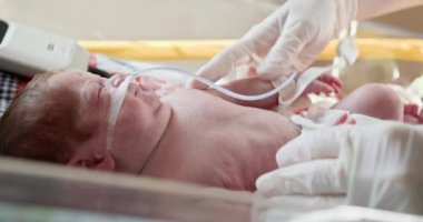 Yeni doğan ünitesinde prematüre bir bebeğe sağlık hizmeti veren profesyonel bir doktor hayati önem ve destek sağlıyor. Yeni Bakım 'da Şefkatli Bir An Bebek Yaşamının İlham verici Yolculuğu ve Büyümesi