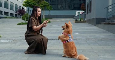 Bir kadın, etkinliklerle dolu, canlı, modern bir şehir ortamında köpeğini dışarıda eğitmeye çalışır. Neşeli Bir Köpek Canlı Şehir Ayarları veya Alanında Sahibiyle Mutlulukla Etkileşim Kurar