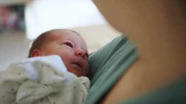 Close-up of a newborn baby being held, evoking a sense of tenderness and early infancy, perfect for content about motherhood, donor milk, or breastfeeding.