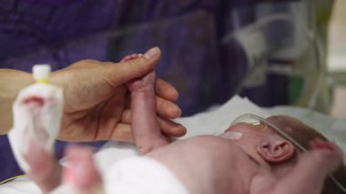 Prematüre bir bebek, bir yetişkin tarafından tutulan bir kuvözde yatıyor. Bebeğin beyaz çarşaflarda dinlenirken takılı tıbbi ekipmanları var..