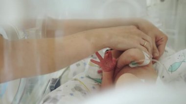 Yeni doğmuş bir bebek kuvözde ve bir insan bebeğin başını nazikçe tutuyor. Sağlık ve Tıp Konsepti.