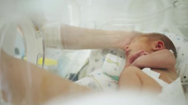 Yenidoğan kuvözündeki prematüre bir bebek, bakıcı eli ile bakım sağlıyor. Tıbbi ekipmanlar da görünür..