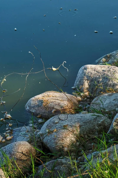 湖の近くの石や草 — ストック写真