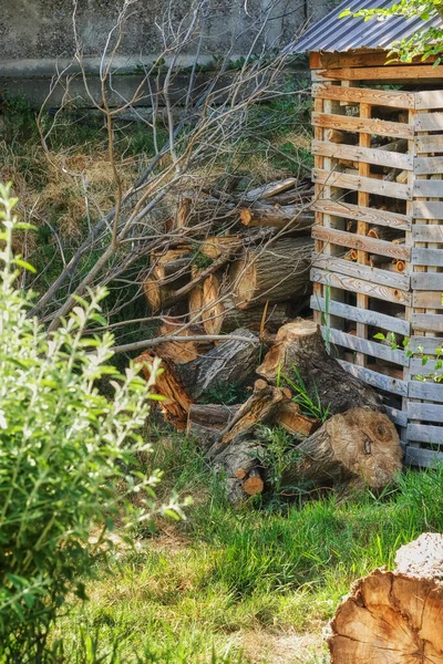 Stos Drewna Opałowego Gotowania Ogrzewania — Zdjęcie stockowe