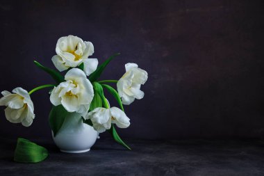 Durgun hayat. Beyaz bir sürahi içinde beyaz laleler, kırmızı bir arka planda yakın plan.