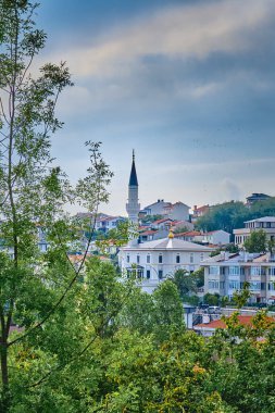 Sile, Hindi. Karadeniz kıyısı, Cami manzarası ve renkli evleri ve parlak çiçekleri olan şehir.