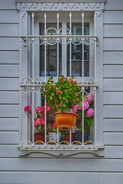 Sile, Türkiye, eski güzel evleri ve parlak çiçekleri olan renkli sokaklar, dekorasyonlu pencere manzarası