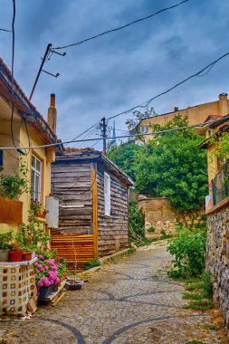 Türkiye 'nin Sile kentinde güzel evleri ve parlak çiçekleri olan renkli sokaklar