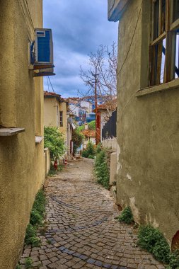 Türkiye 'nin Sile kentinde güzel evleri ve parlak çiçekleri olan renkli sokaklar