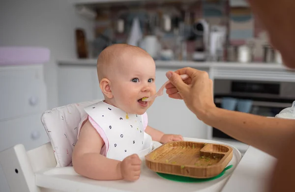Primera Alimentación Los Bebés Mamá Alimenta Bebé Sorprendido Con Una Fotos De Stock