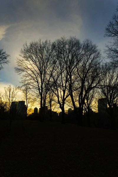 Zimní Západ Slunce Central Parku Manhattanu Silueta Stromů Krásná Obloha — Stock fotografie