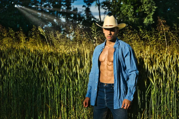 Retrato Agricultor Sexy Cowboy Chapéu Com Camisa Desabotoada Tronco Muscular — Fotografia de Stock