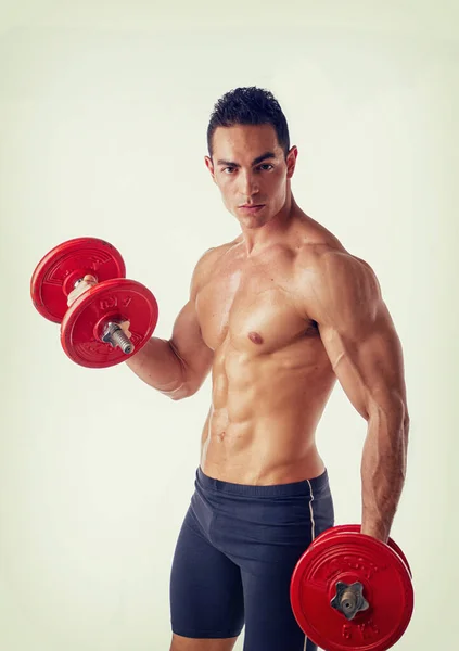 Muscular Sexy Shirtless Young Man Exercising Biceps Dumbbells White Background — Stock Photo, Image