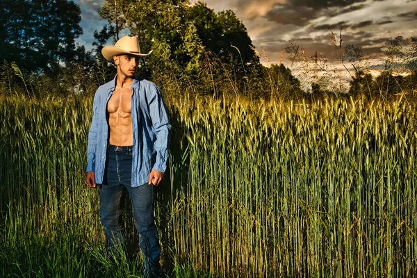 Portrait Sexy Farmer Cowboy Hat Unbuttoned Shirt Muscular Torso Looking — Fotografia de Stock