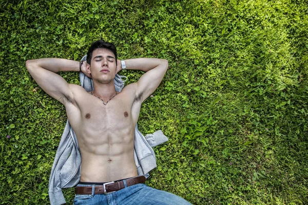 上からショット良い探して 草の上に横たわってリラックスした上半身裸のフィット男性モデル — ストック写真