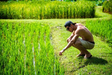 Genç kaslı adam tarlada oturup bitkilere bakıyor. Yatay açık hava çekimi.