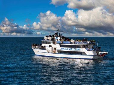 Okyanusun ortasında balina izlemek için turistleri taşıyan büyük beyaz bir tekne. İzlanda okyanusunun uçsuz bucaksız genişliğinde yüzen görkemli beyaz bir teknenin fotoğrafı.